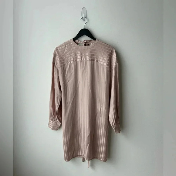 Aritzia Wilfred Silk Pink Stripe Lined Long Sleeves Gaillard Dress - Picture 3 of 12